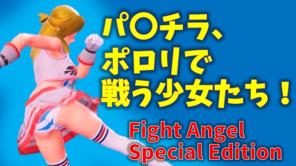 Fight Angel Special Edition 感想　キャラメイクしたキャラでバトルしたら相手も自分もポロリしちゃった3D格闘ゲーム。